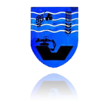 dsmvt logo